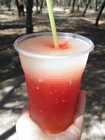 アクロポリス入口で飲んだシェイク.jpg