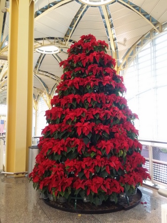 ナショナル空港のクリスマスツリー