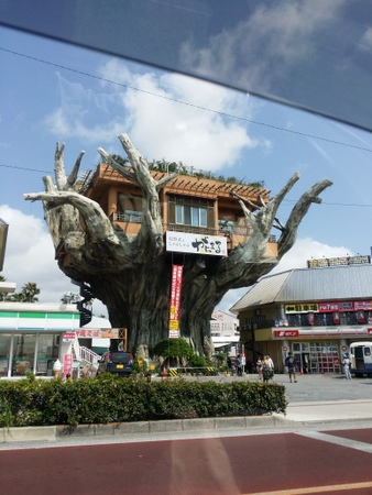 沖縄いろいろ